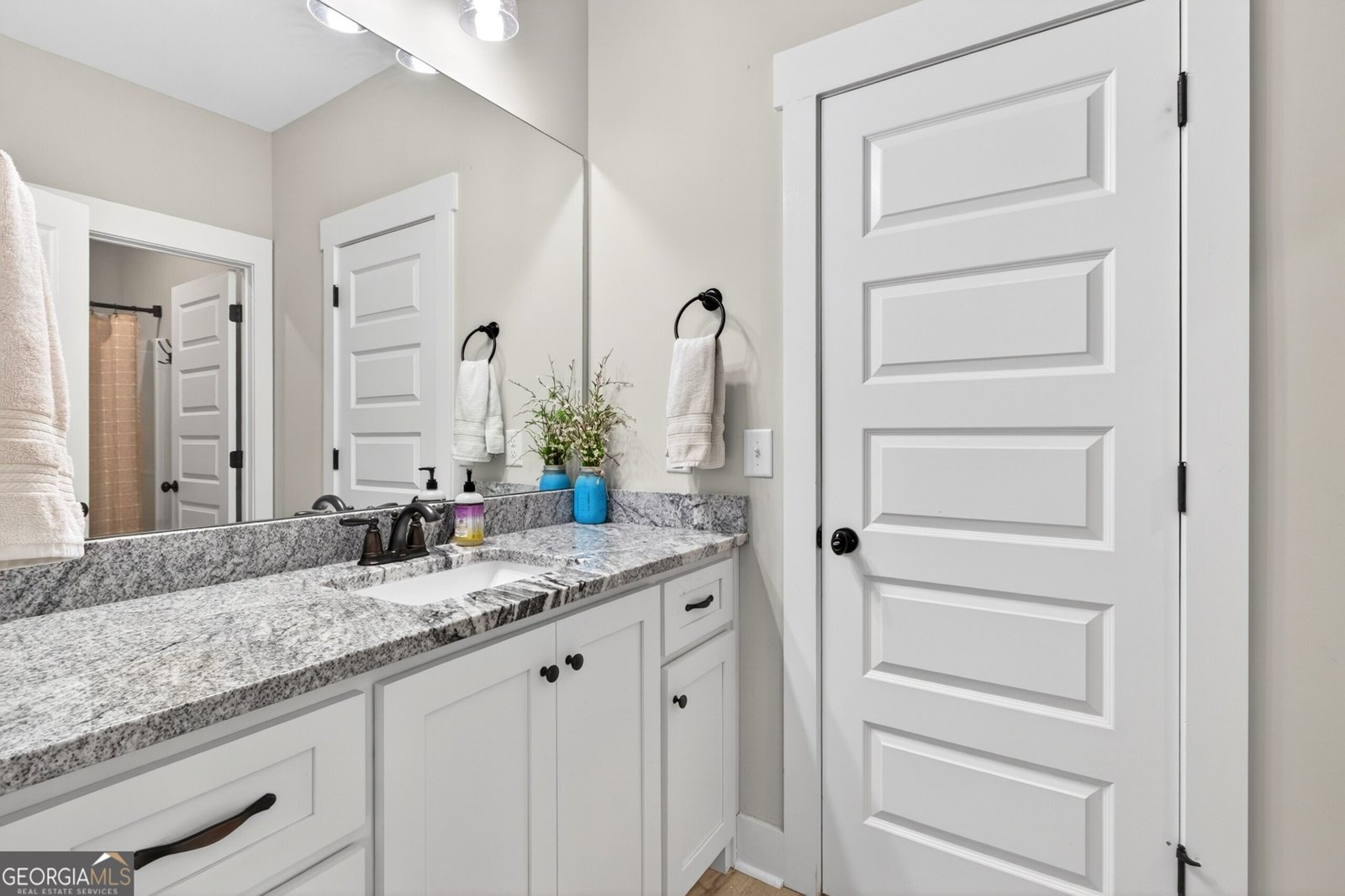 35 Beaumont Farms Drive Sharpsburg - Photo 43