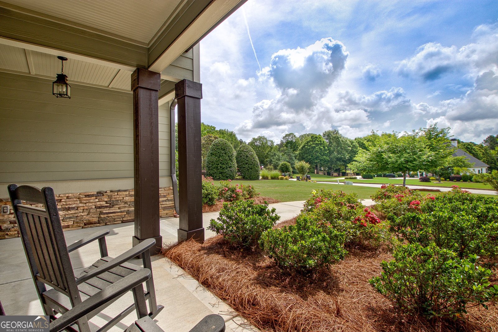 35 Beaumont Farms Drive Sharpsburg - Photo 6