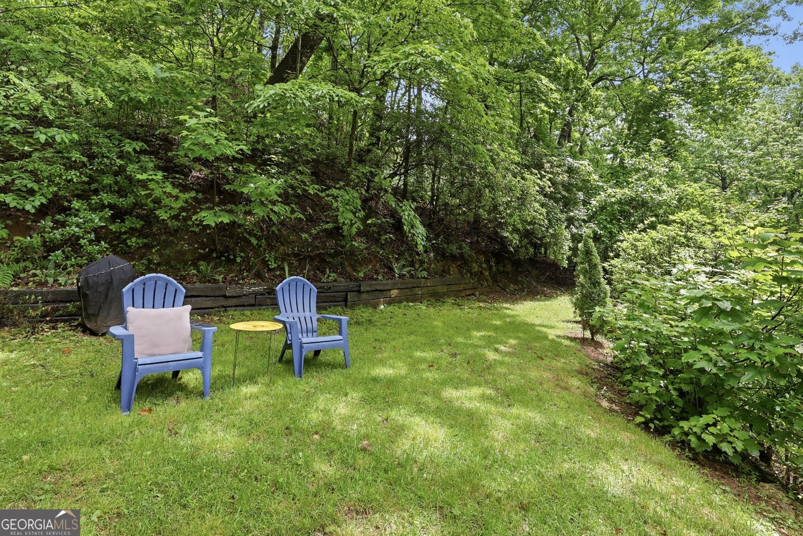 216 Wood Sorrel Lane Clayton - Photo 24