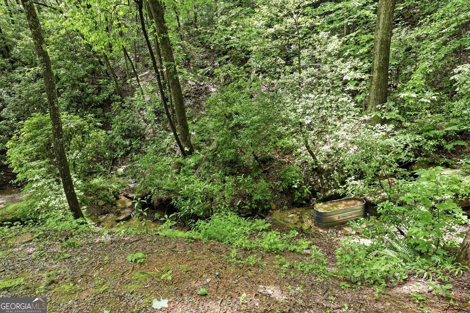 216 Wood Sorrel Lane Clayton - Photo 25