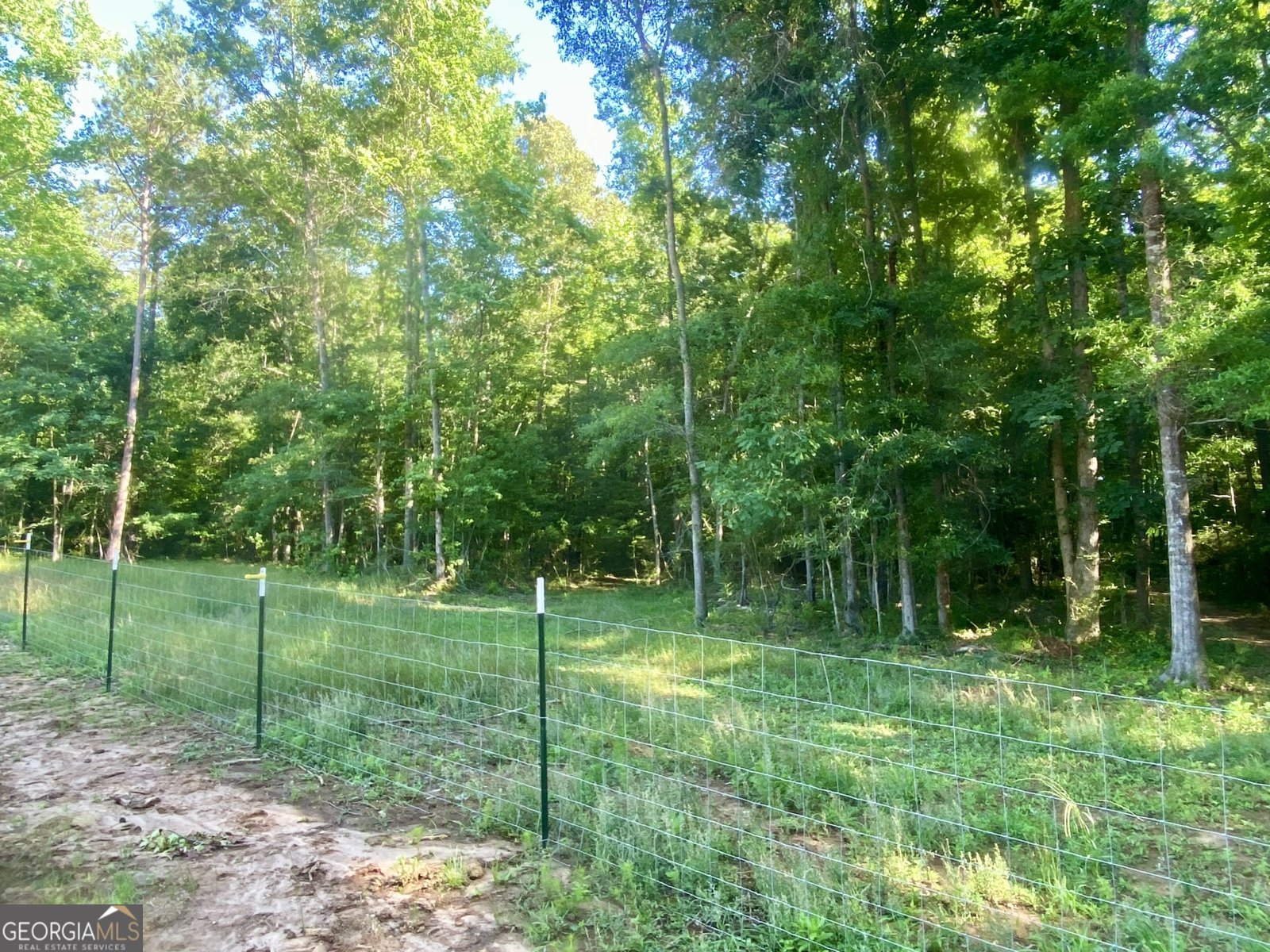 1250 Godfrey Road Madison - Photo 41
