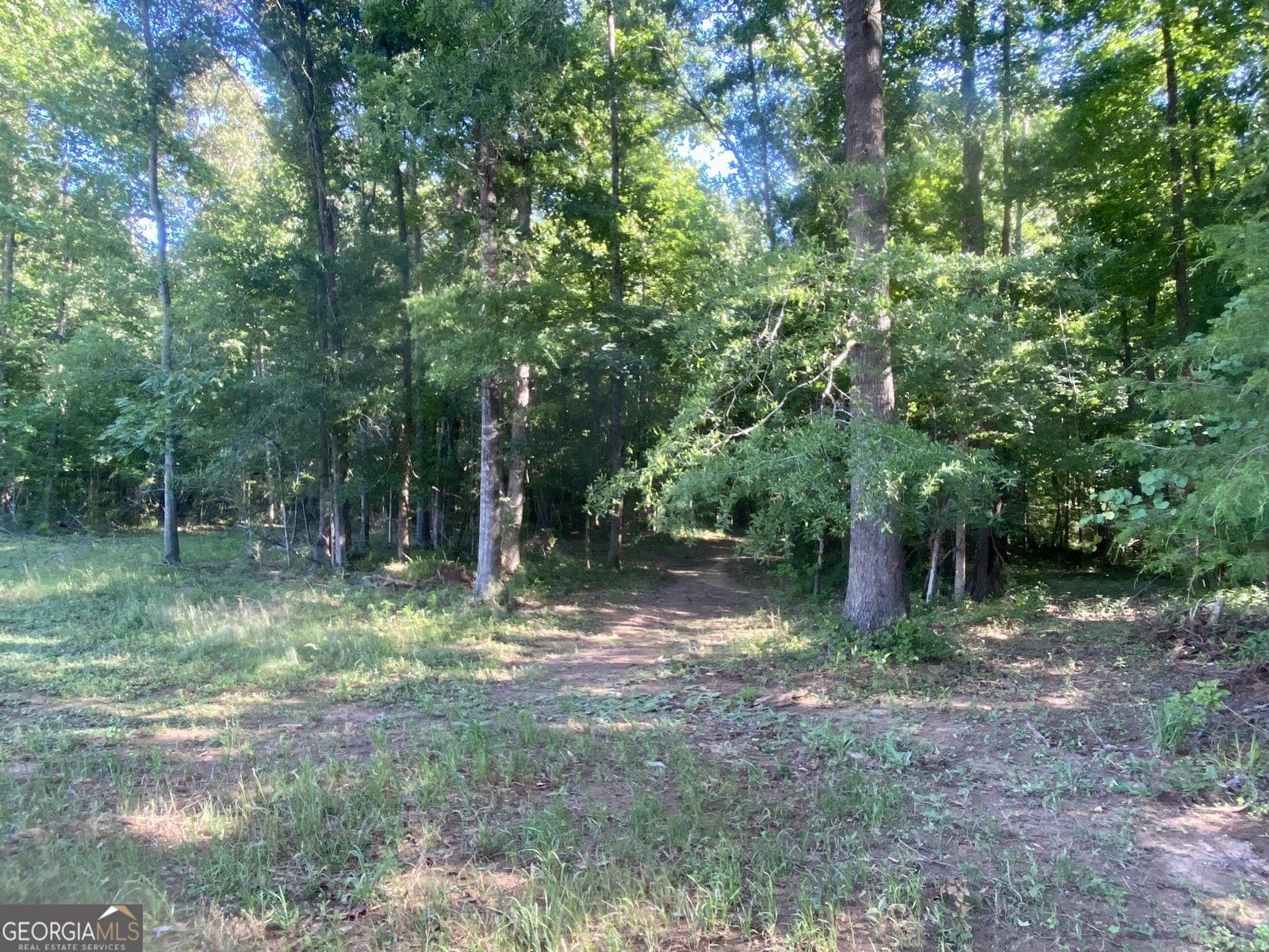 1250 Godfrey Road Madison - Photo 42