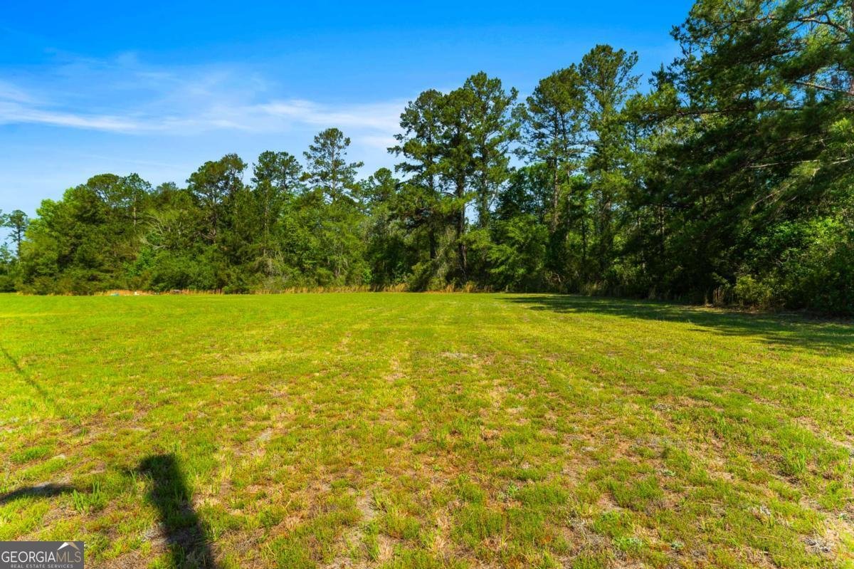 3383 Mill Branch Club Road Pembroke - Photo 29