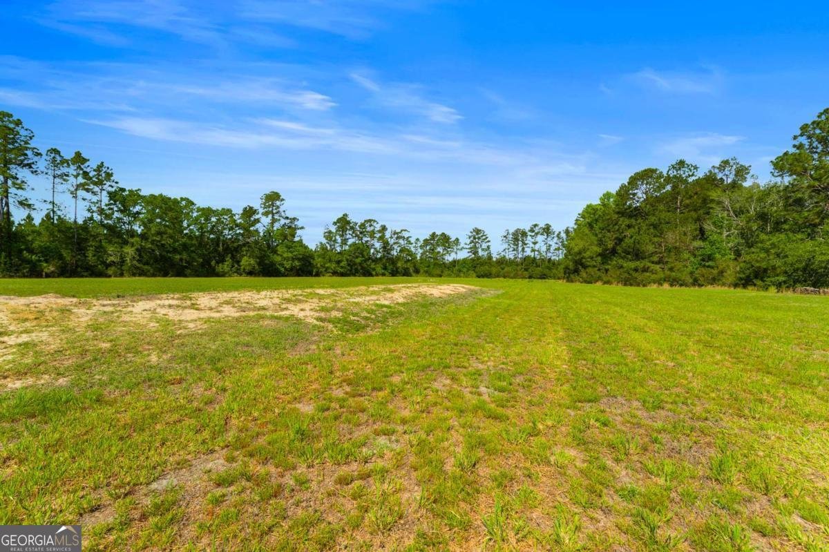3383 Mill Branch Club Road Pembroke - Photo 30