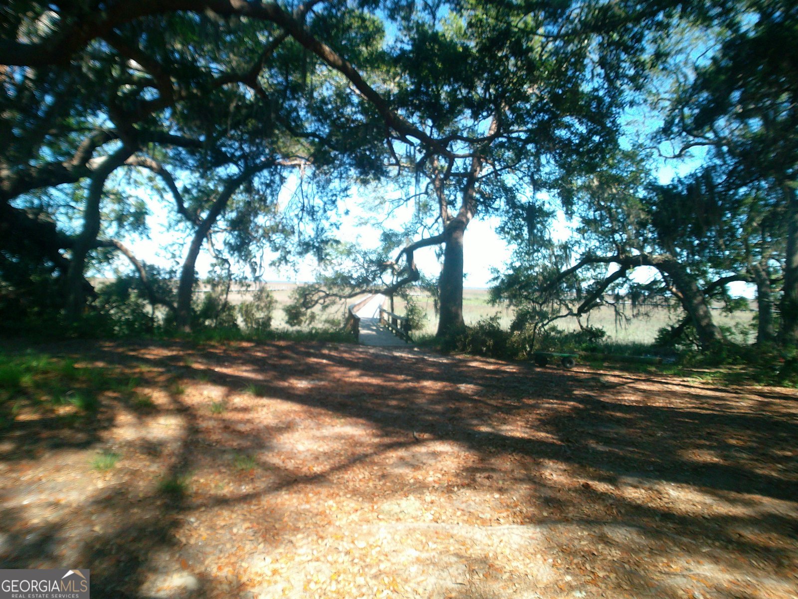 378 Spartina Way Midway - Photo 64