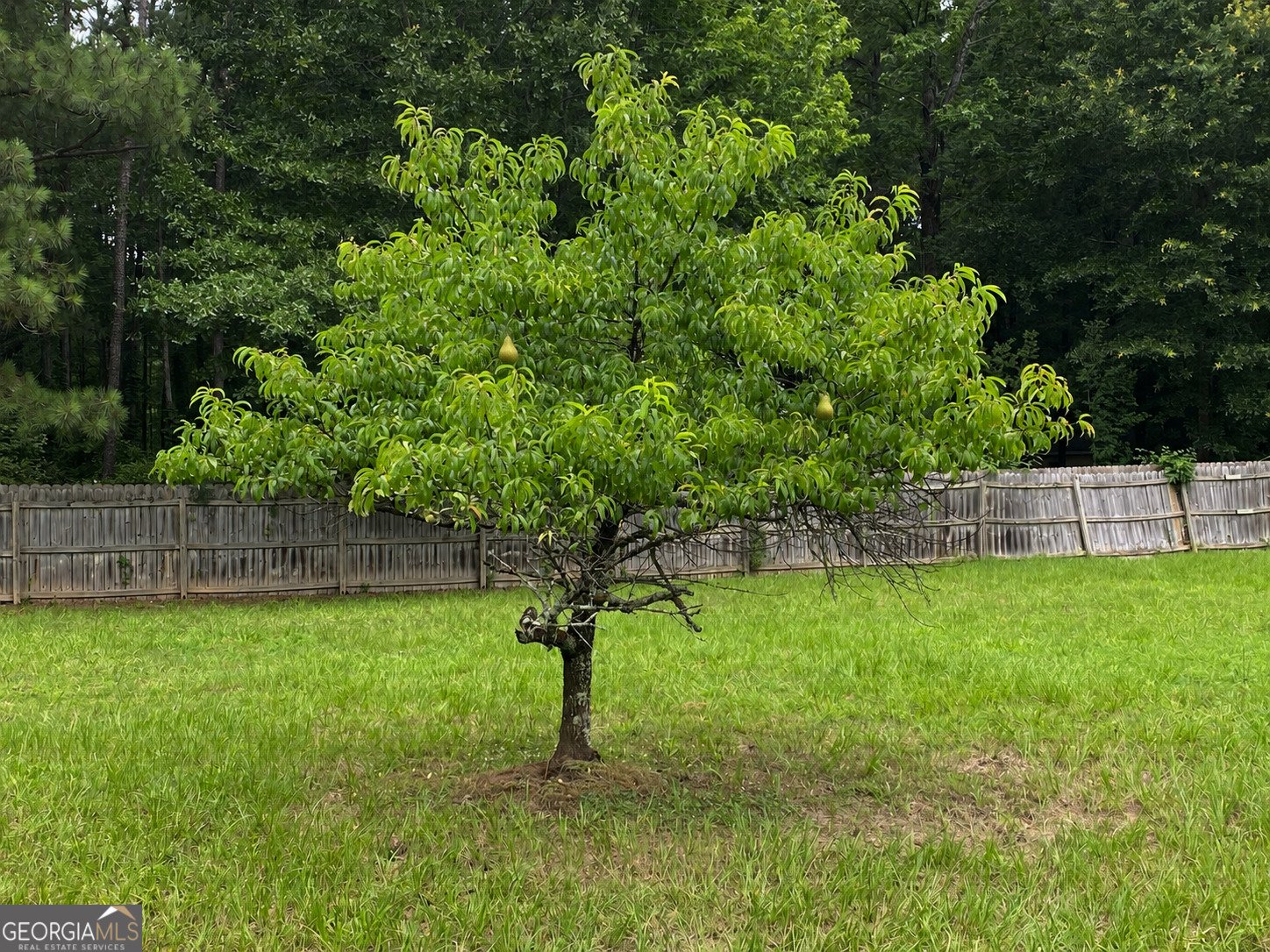 130 Thomas Trail Fayetteville - Photo 69