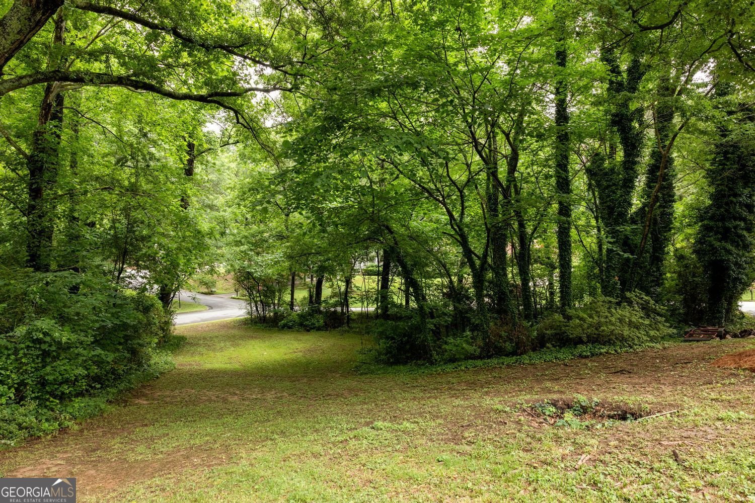 4736 Bridgewater Drive Lilburn - Photo 54
