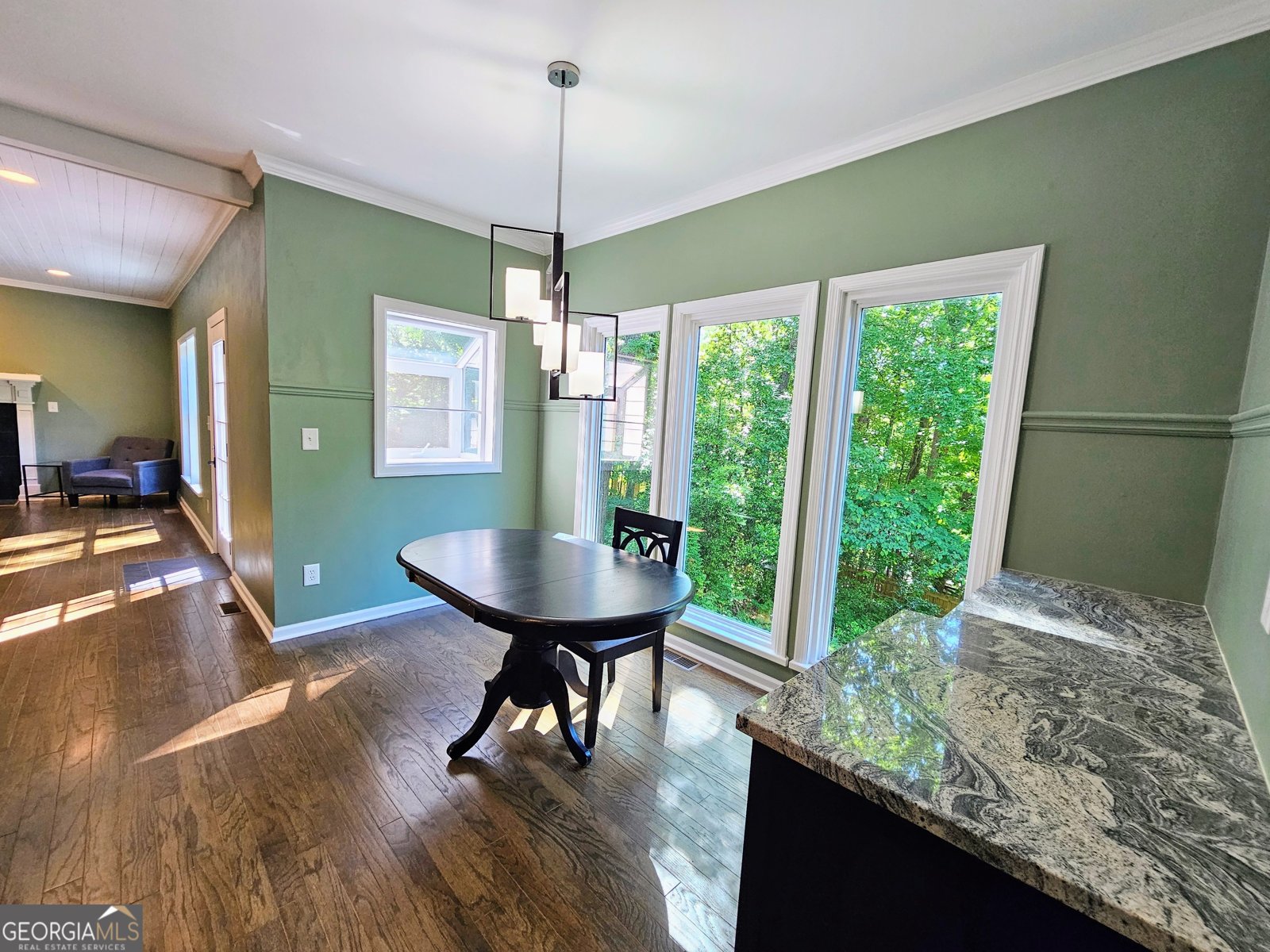 225 NACOOCHEE Drive Woodstock - Photo 23