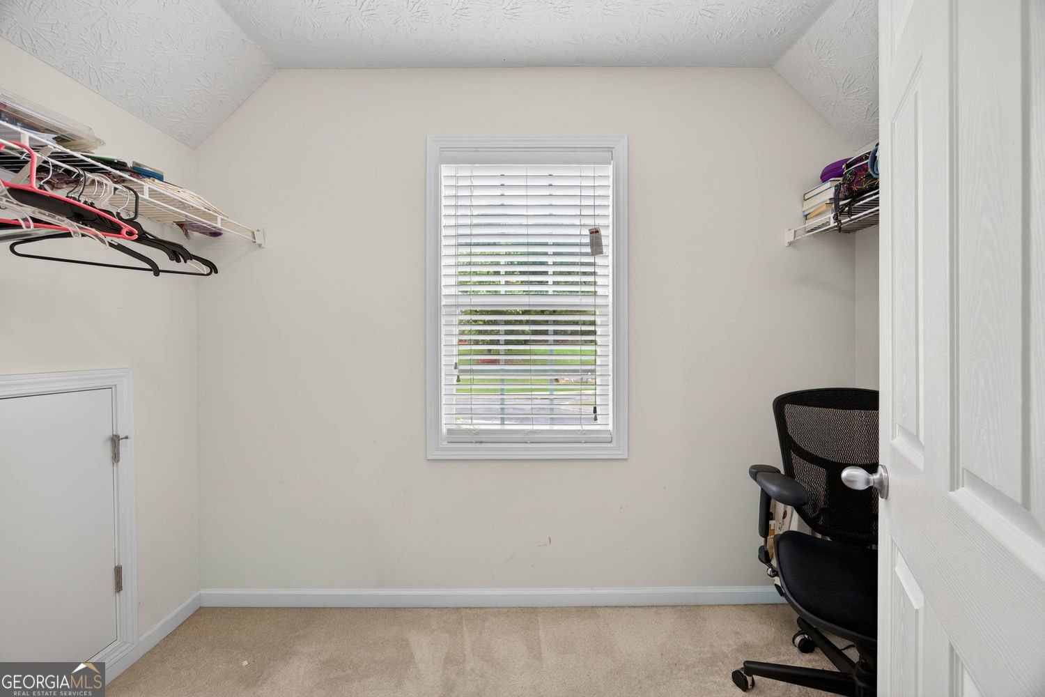 1421 Queenie Smith Road Conyers - Photo 19
