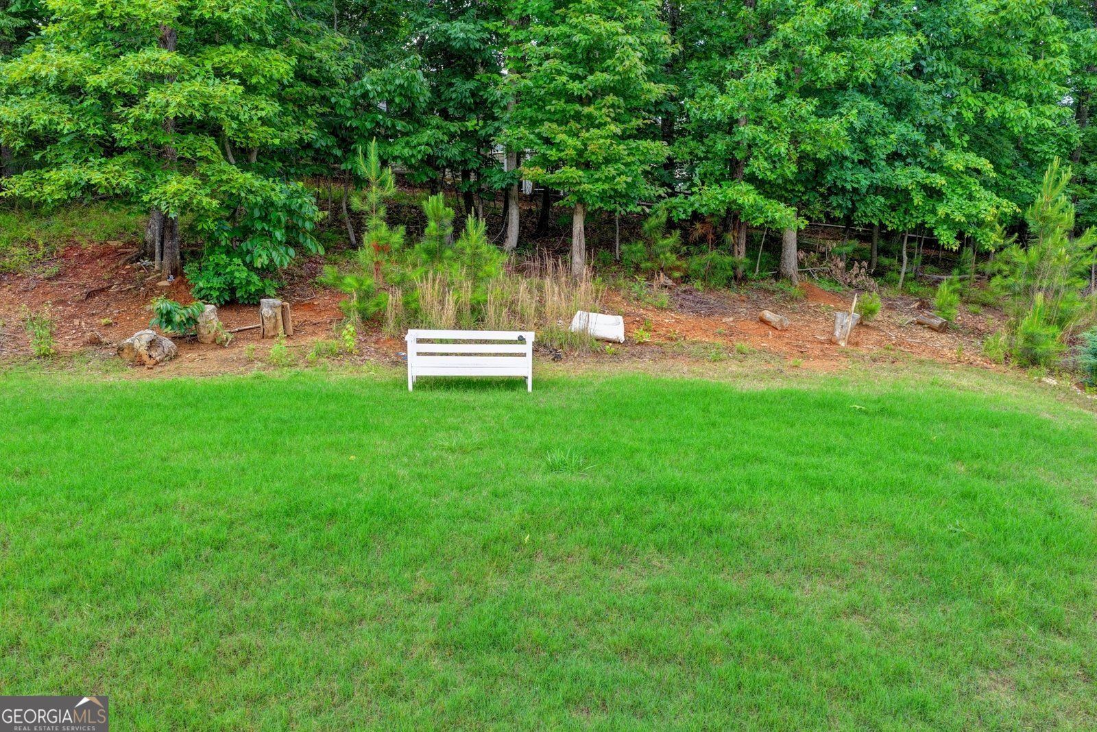 3155 Scarlet Oak Pass Cumming - Photo 103