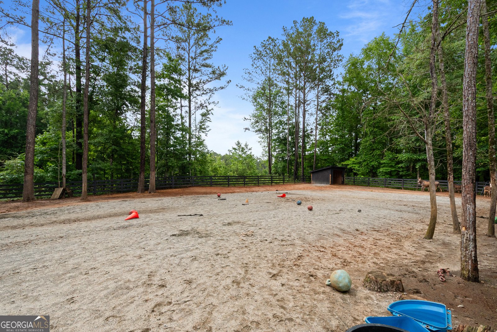 1230 Blalock Lakes Drive Newnan - Photo 48