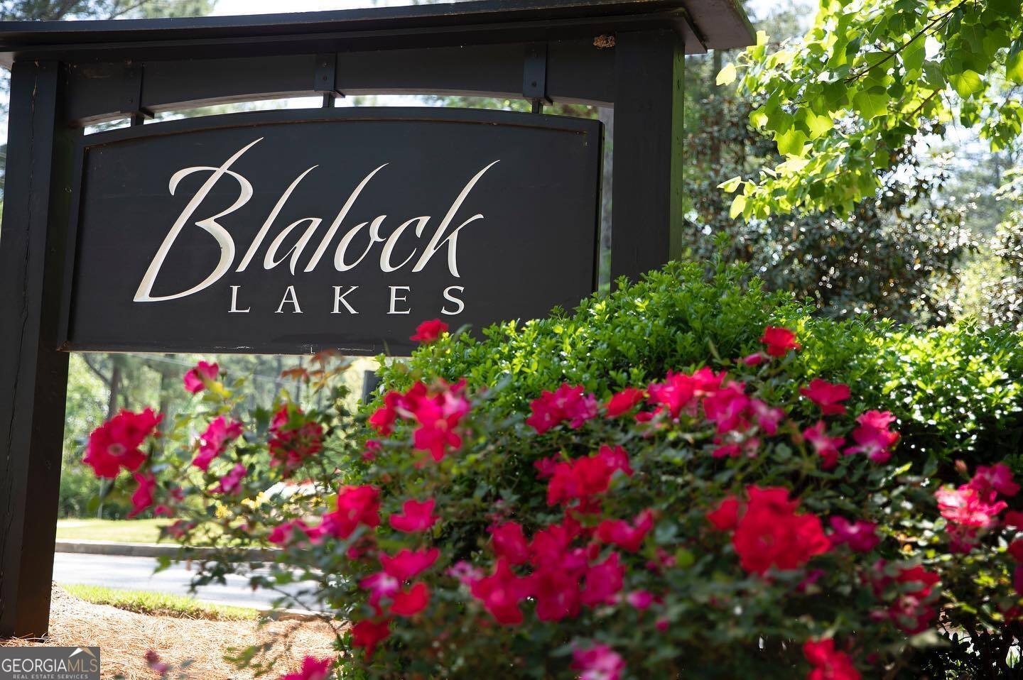 1230 Blalock Lakes Drive Newnan - Photo 53