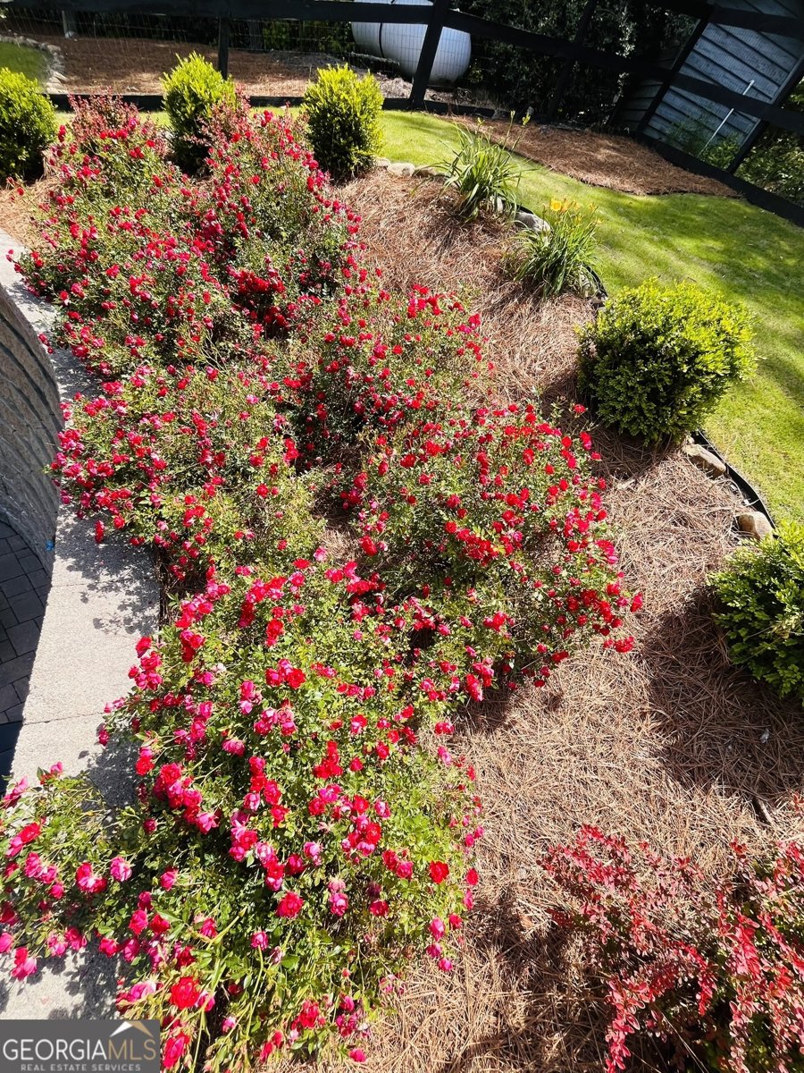 74 Valley Drive Ellijay - Photo 23