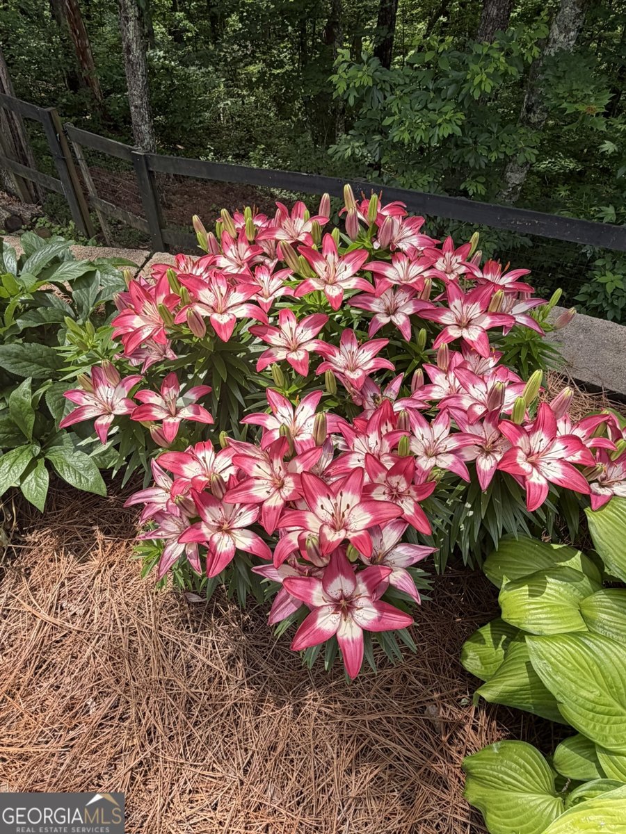 74 Valley Drive Ellijay - Photo 36