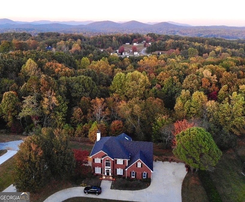 296 Cloudland Road Dahlonega - Photo 33