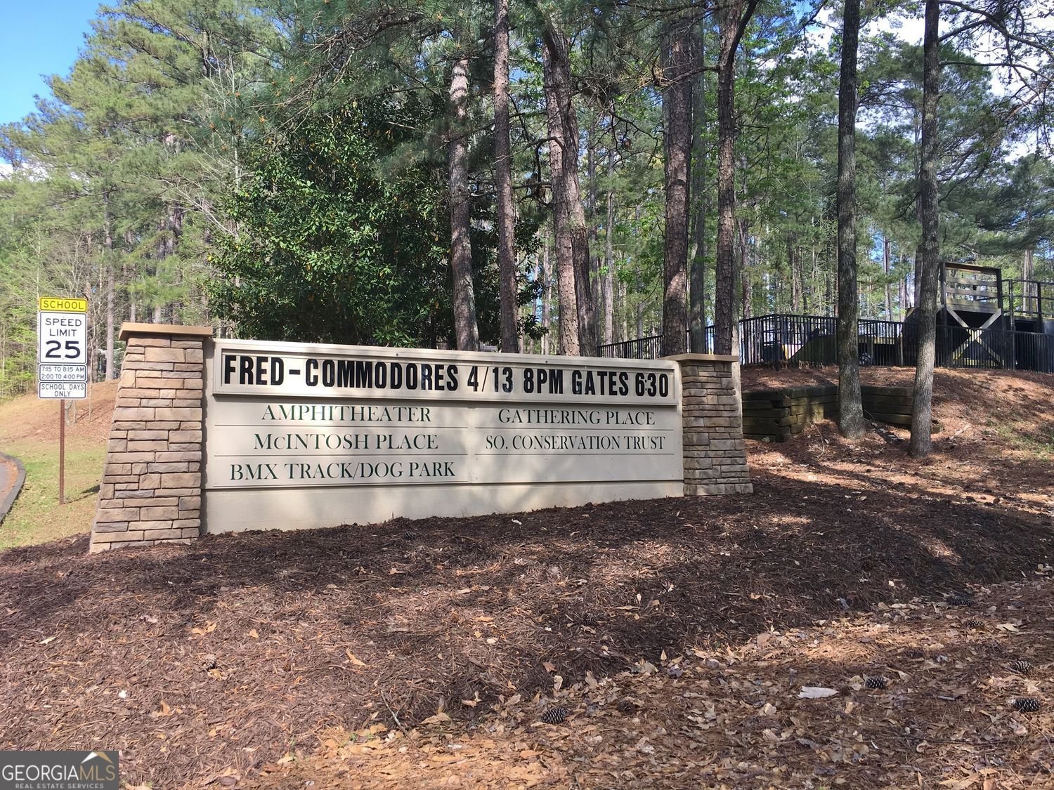 1403 Yarborough Drive Peachtree City - Photo 80