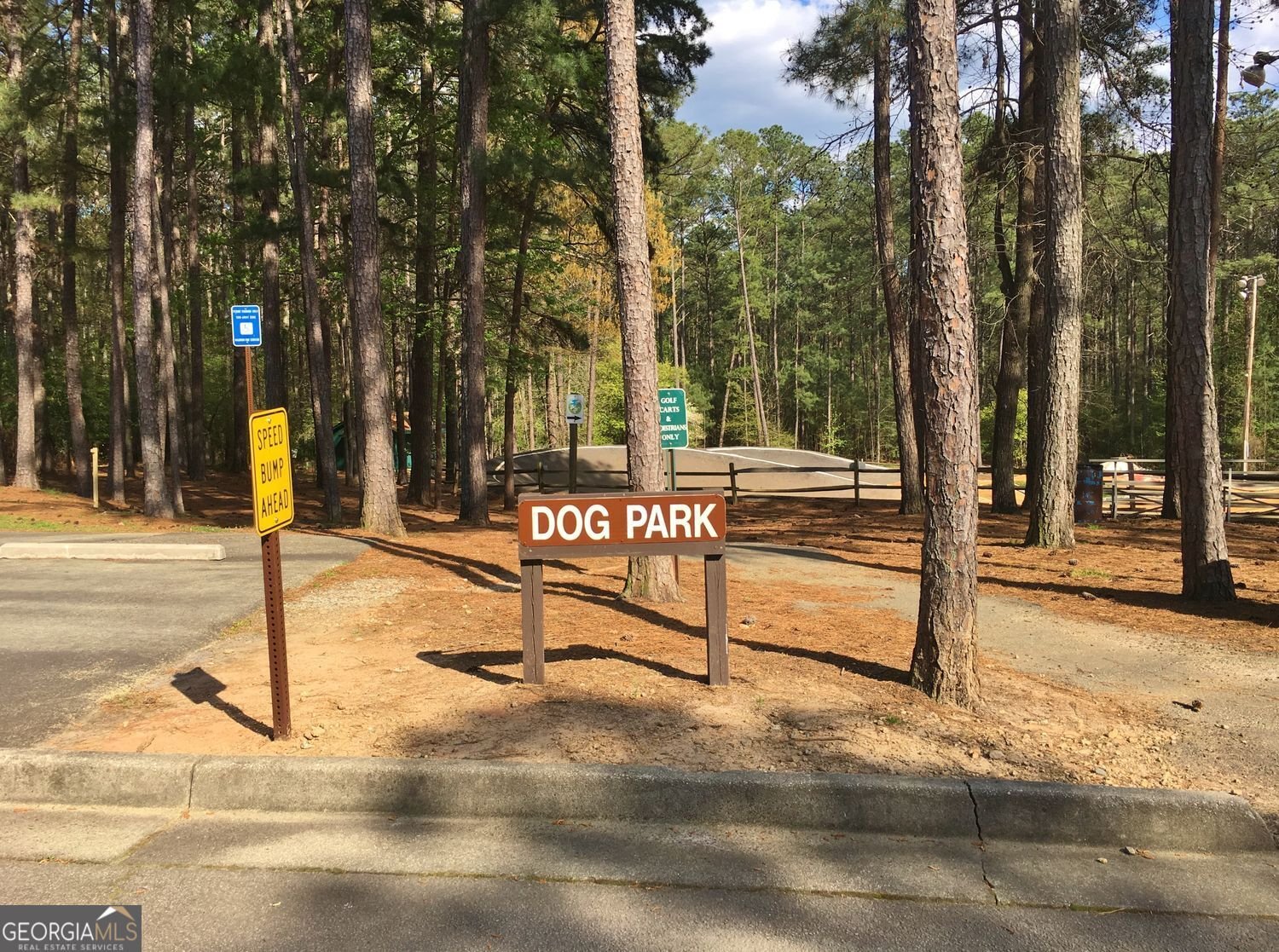1403 Yarborough Drive Peachtree City - Photo 82