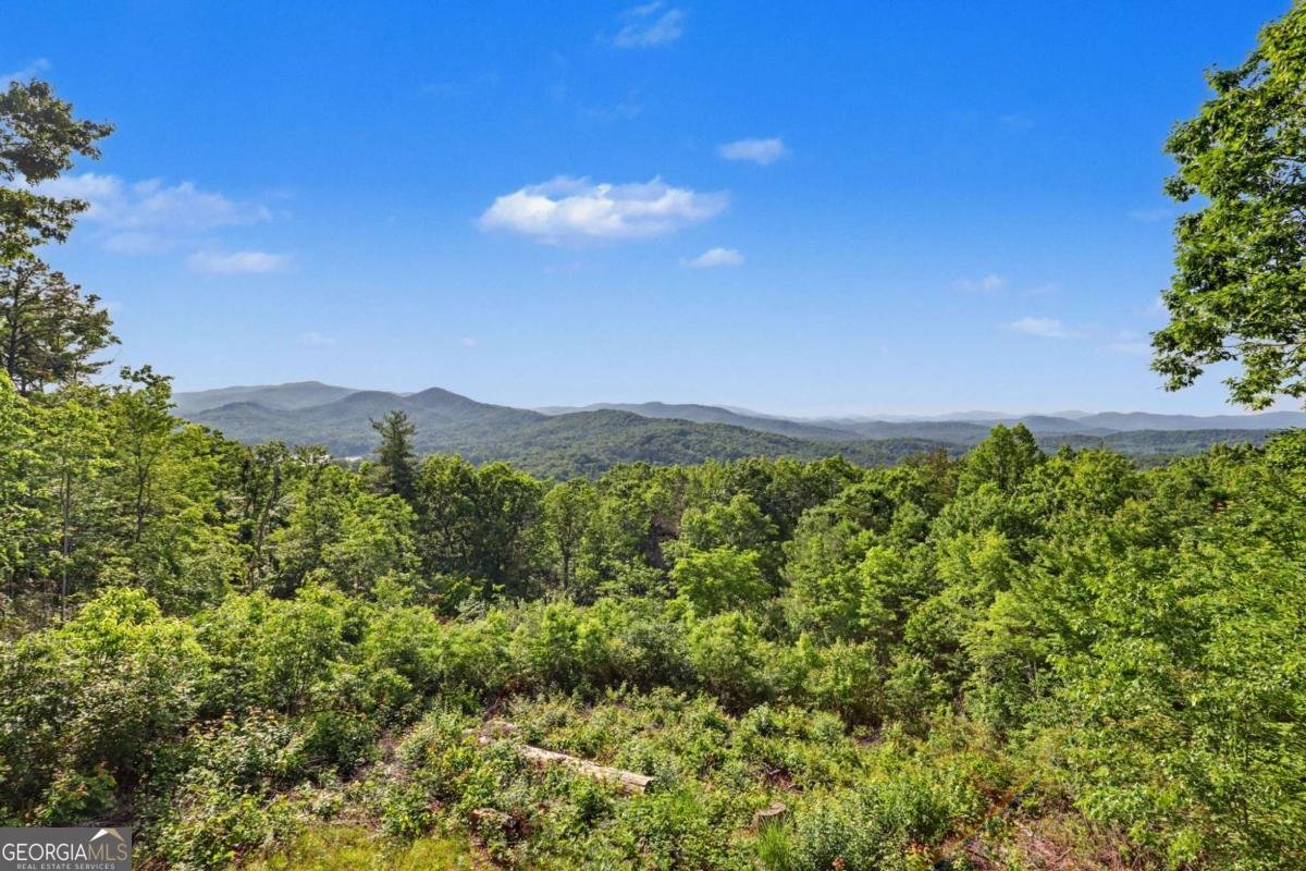 734 Long Laurel Ridge Drive Lakemont - Photo 20