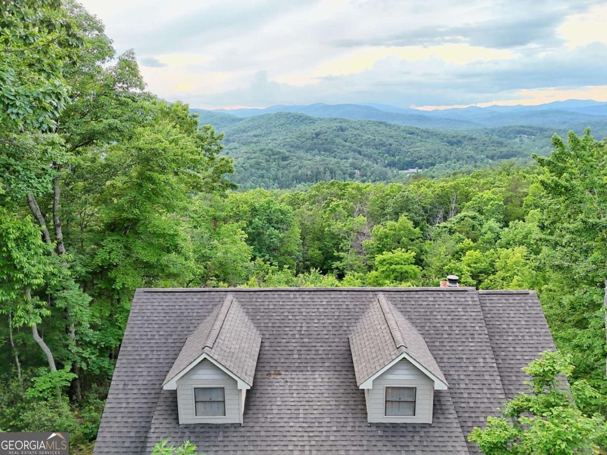 734 Long Laurel Ridge Drive Lakemont - Photo 57