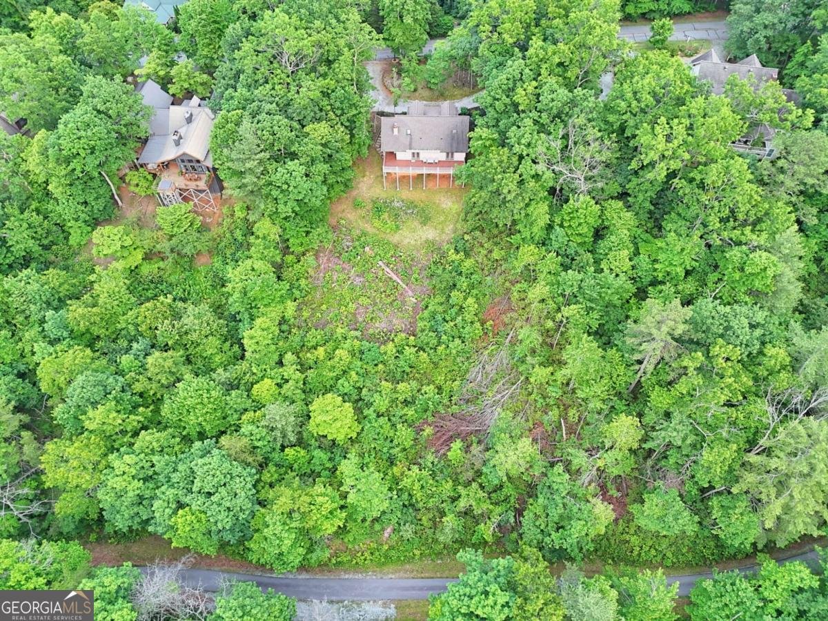 734 Long Laurel Ridge Drive Lakemont - Photo 60