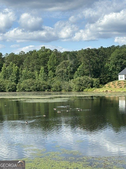 8661 St Andrews Parkway Winston - Photo 49