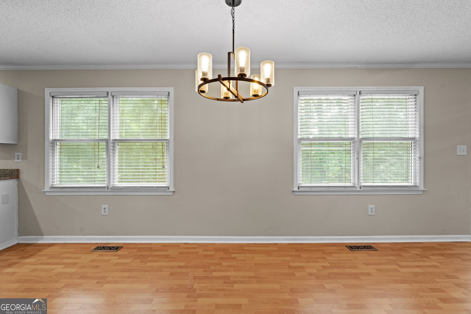 39 Springfield Ct Newnan - Photo 13
