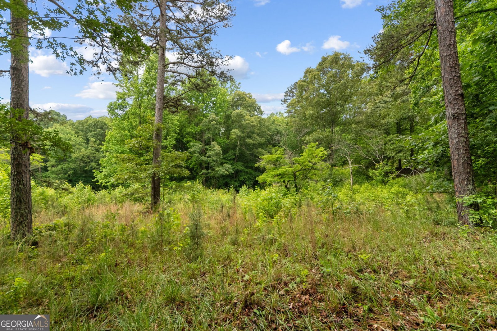 4454 Ledan Extension Gainesville - Photo 24
