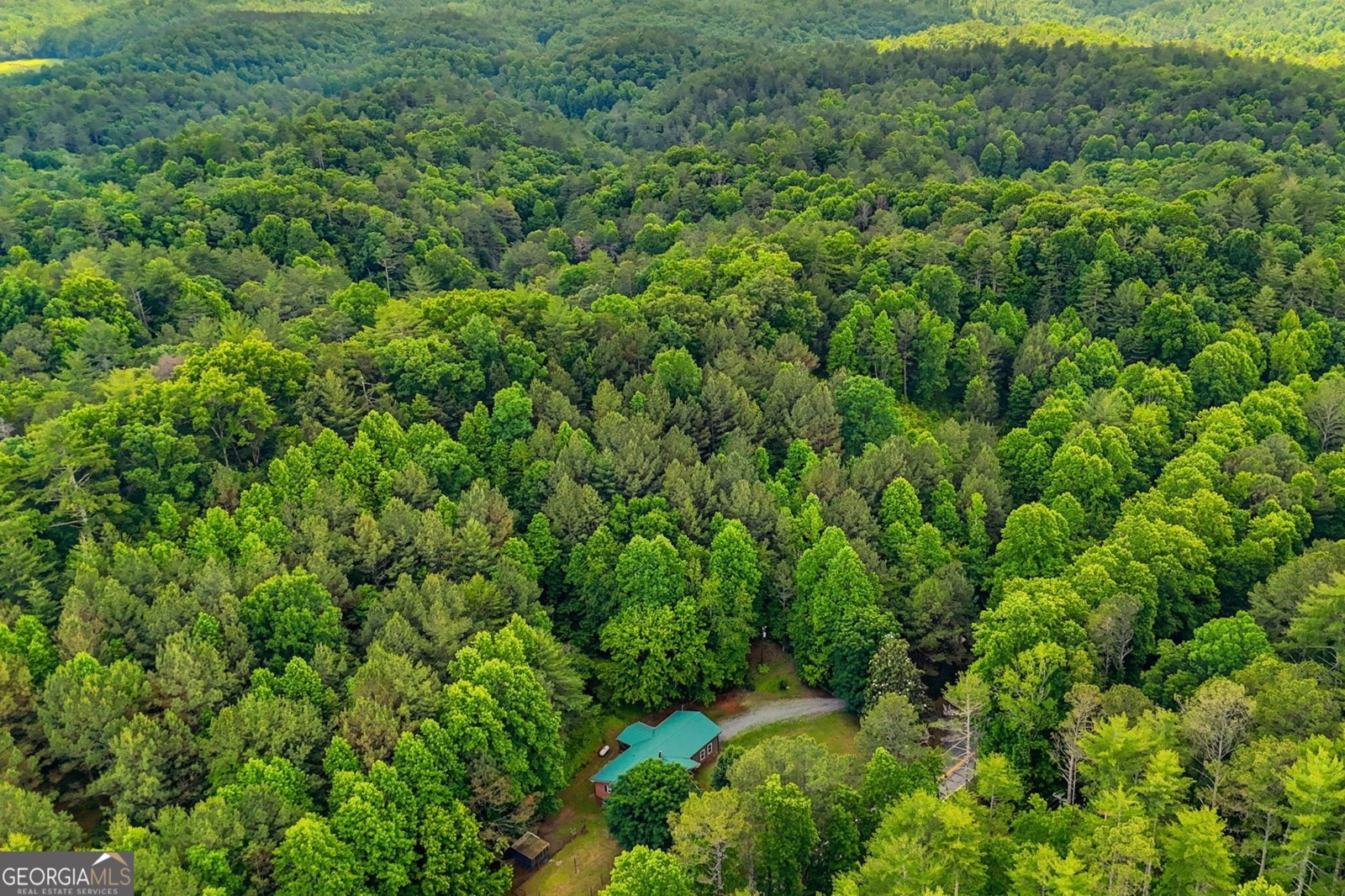 7741 Chatsworth Highway Ellijay - Photo 41