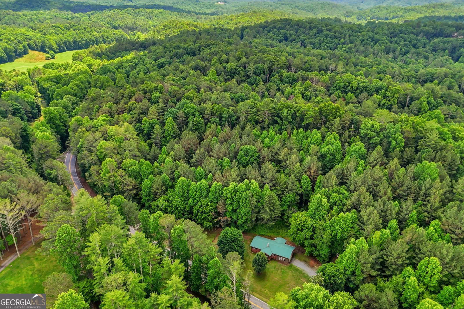 7741 Chatsworth Highway Ellijay - Photo 42