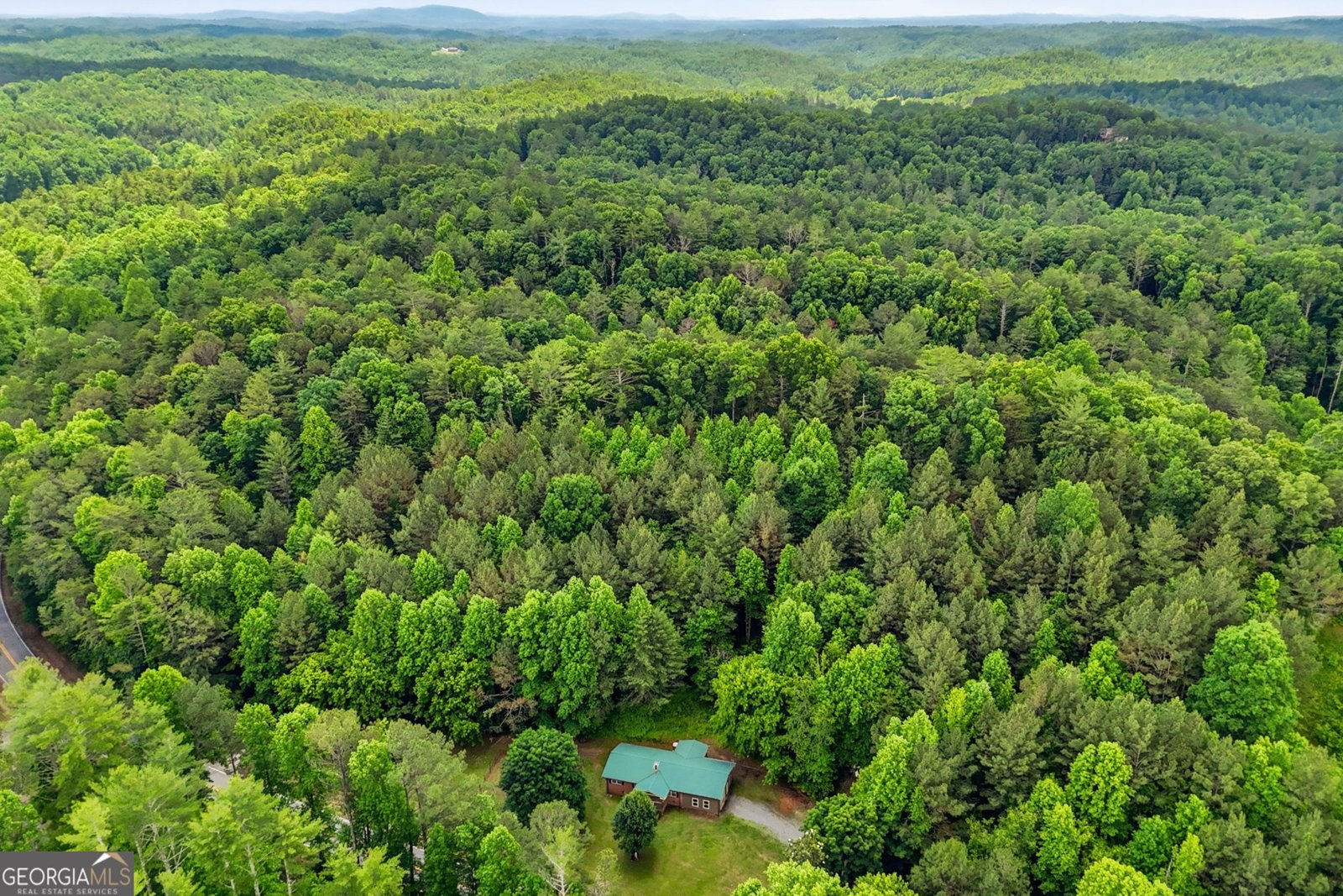 7741 Chatsworth Highway Ellijay - Photo 43