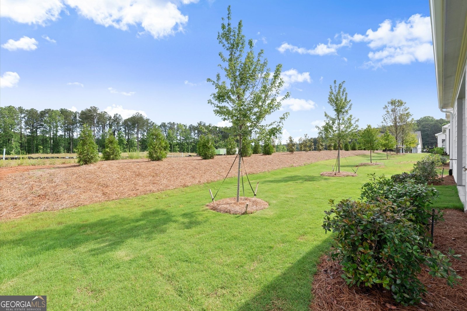 500 Fescue Court Kennesaw - Photo 58
