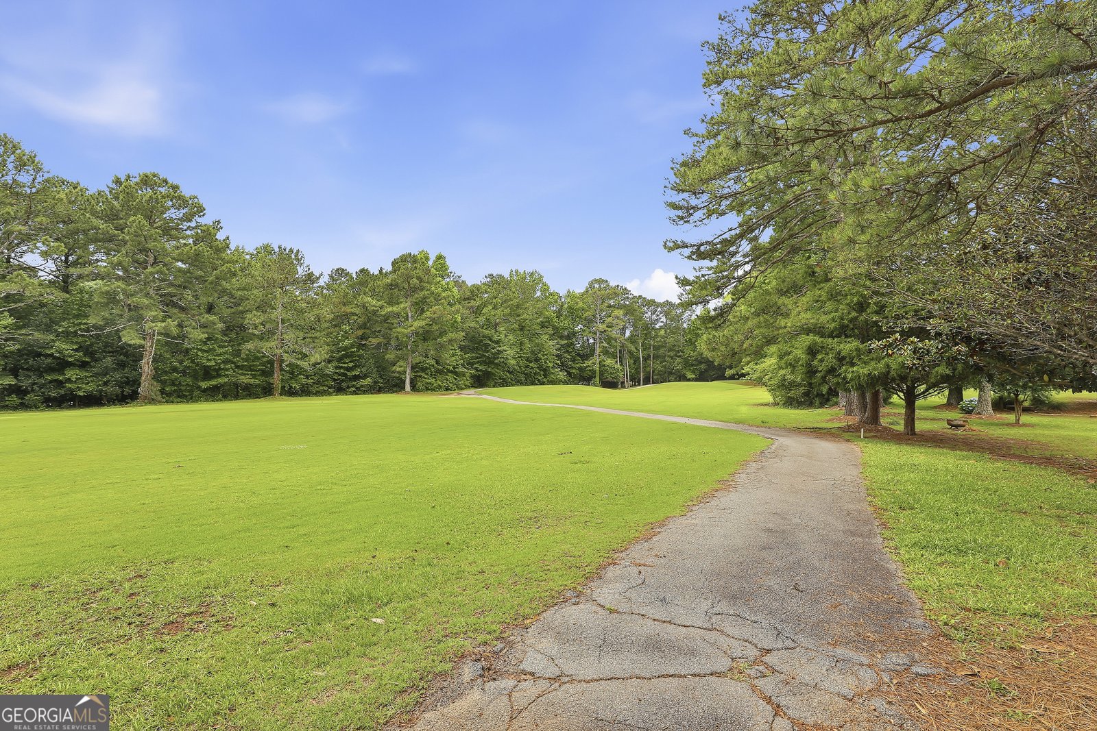 55 Tillinghast Trace Newnan - Photo 48