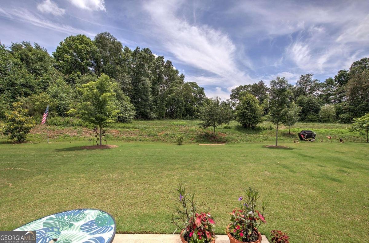 42 Encore Lane Cartersville - Photo 46
