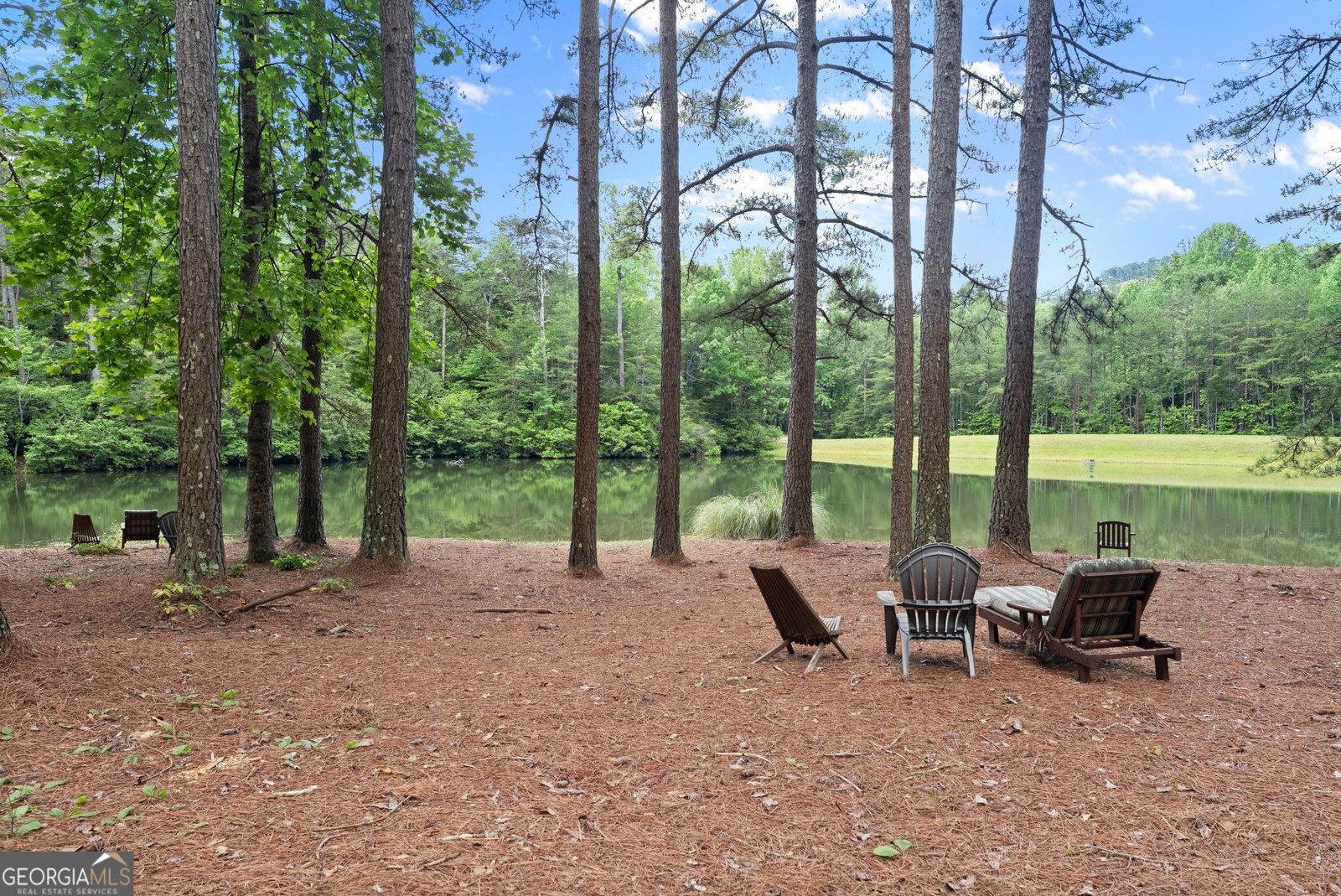 404 Golden Delicious Road Clarkesville - Photo 62
