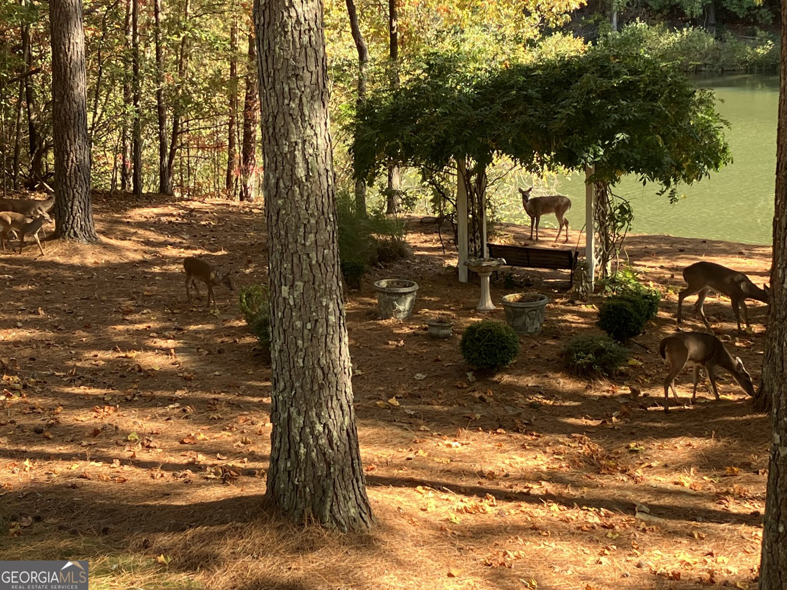 404 Golden Delicious Road Clarkesville - Photo 66