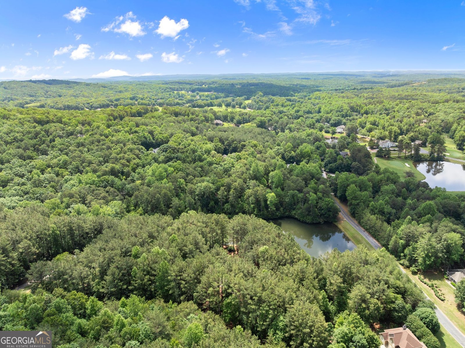 404 Golden Delicious Road Clarkesville - Photo 86