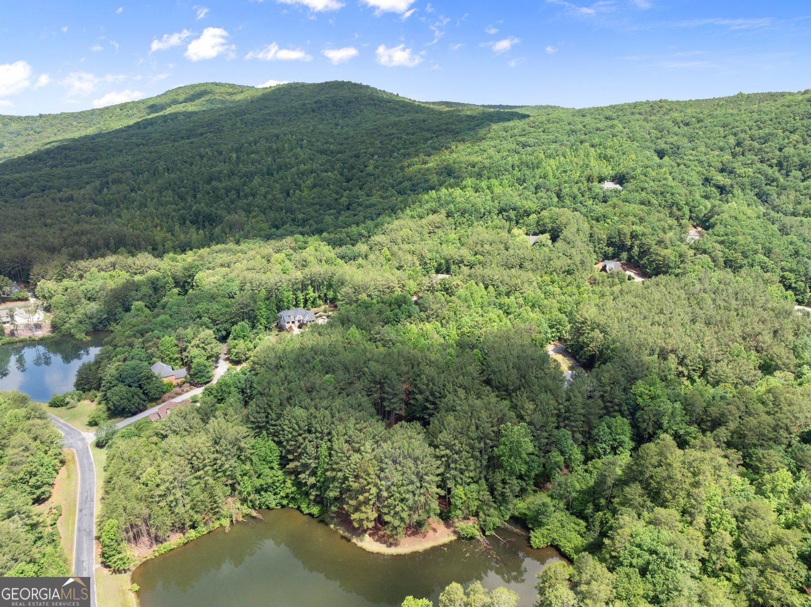 404 Golden Delicious Road Clarkesville - Photo 91