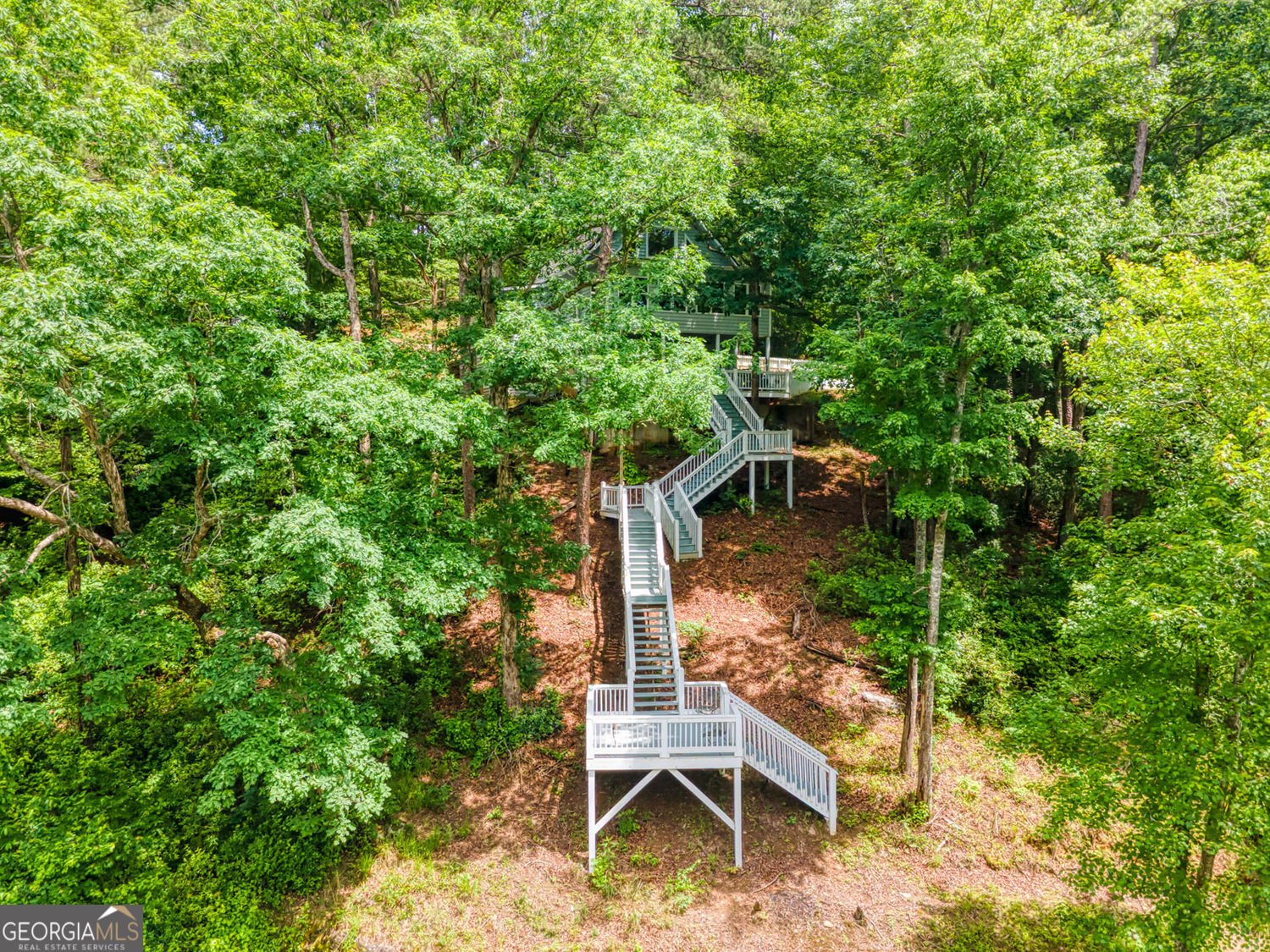 190 Raintree Court Demorest - Photo 49