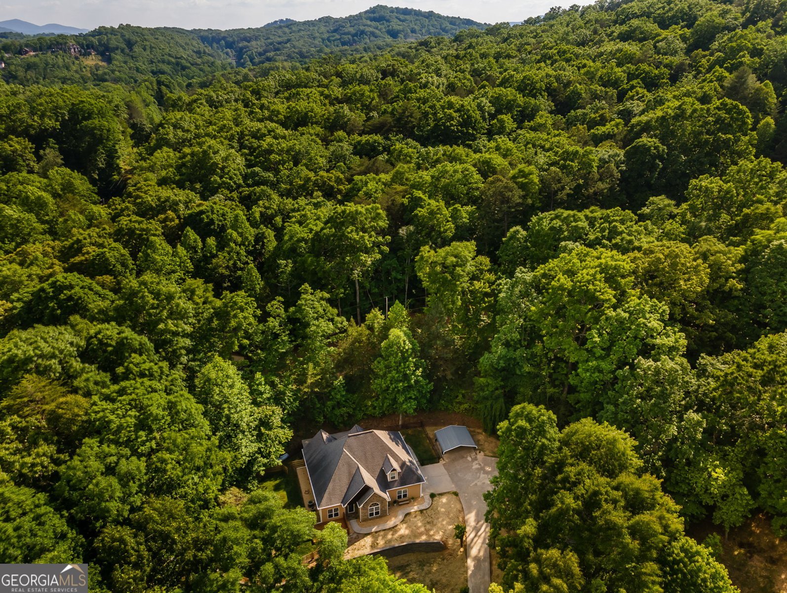 201 Oakawana Trail Blue Ridge - Photo 47