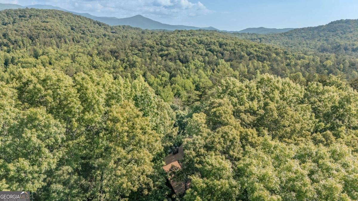266 Enota Drive Sautee Nacoochee - Photo 44