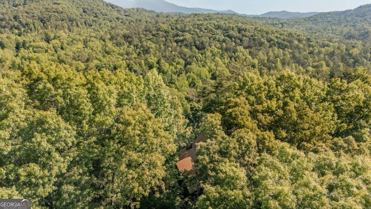 266 Enota Drive Sautee Nacoochee - Photo 45