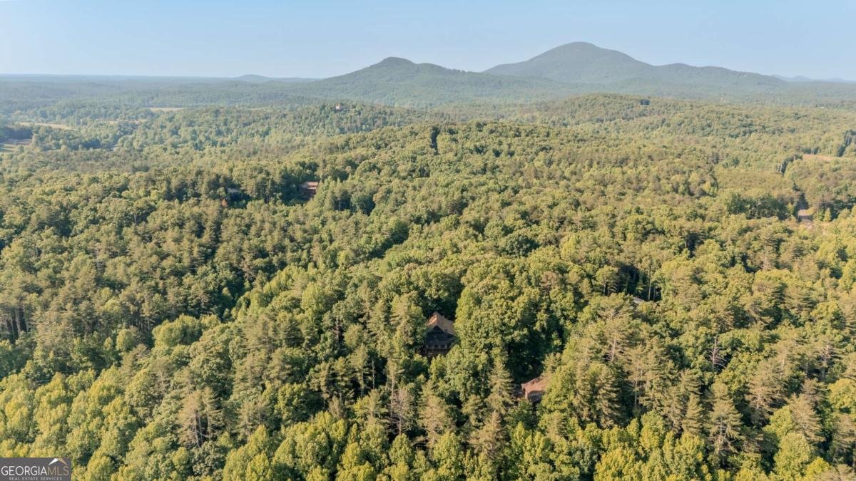 266 Enota Drive Sautee Nacoochee - Photo 51