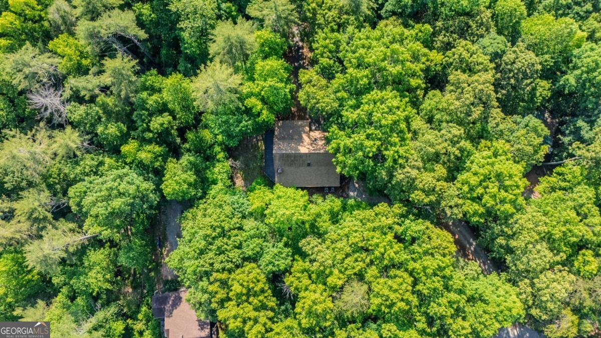 266 Enota Drive Sautee Nacoochee - Photo 52