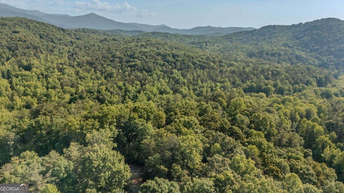 266 Enota Drive Sautee Nacoochee - Photo 53