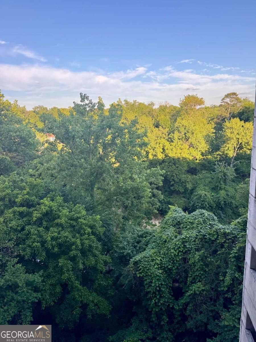 2277 Peachtree Road Atlanta - Photo 38