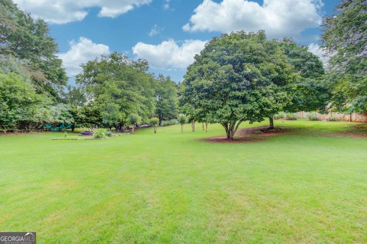 6362 Chestnut Parkway Flowery Branch - Photo 27