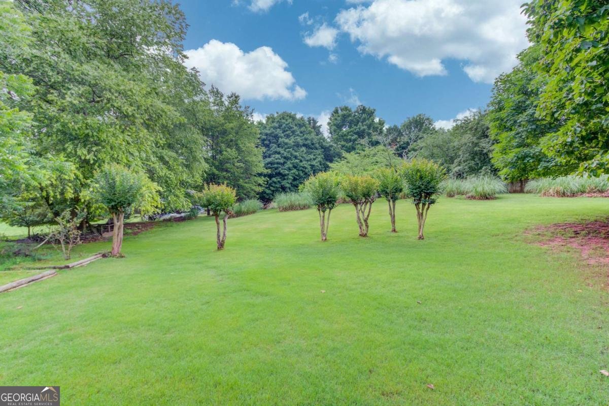 6362 Chestnut Parkway Flowery Branch - Photo 28