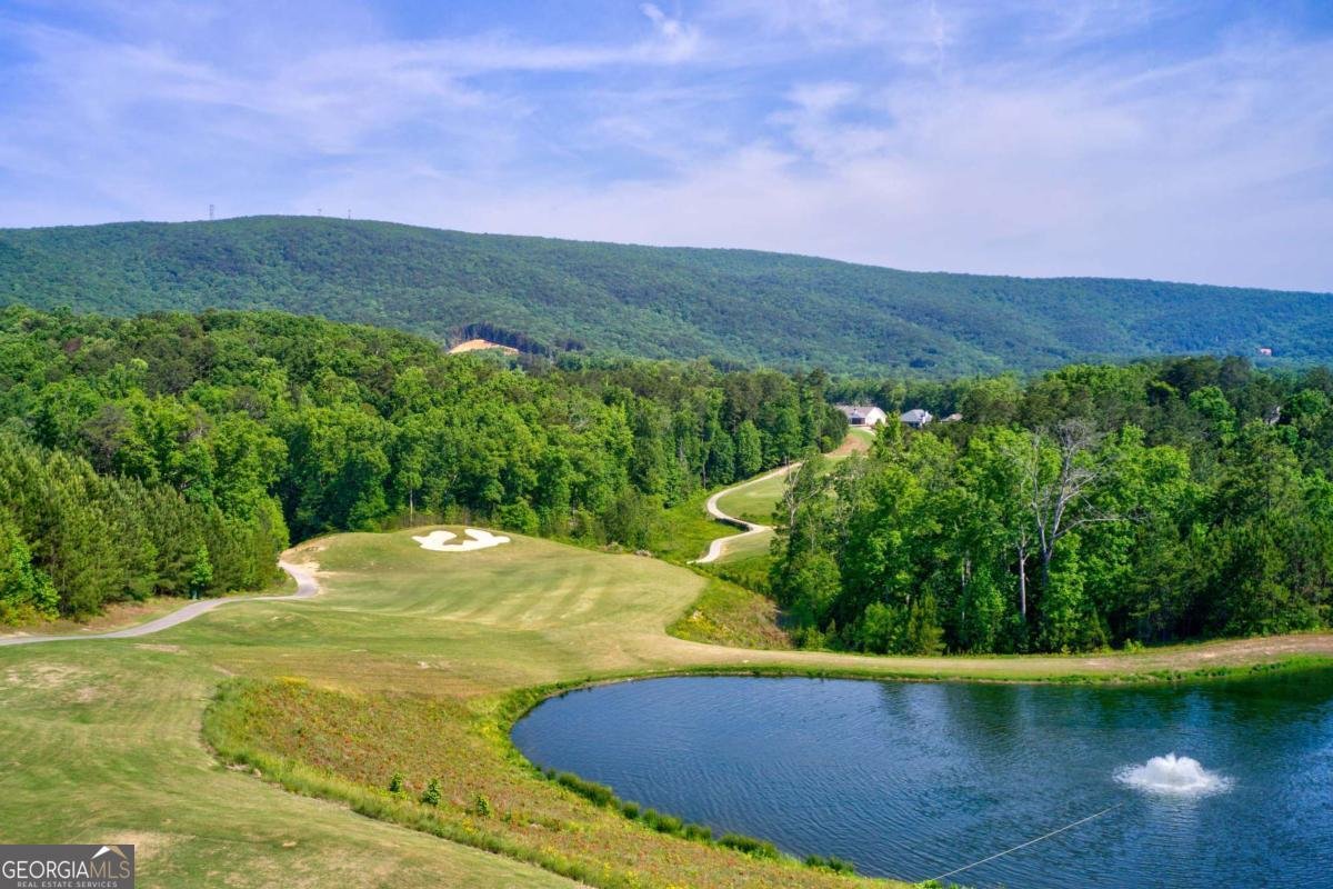 29 Mountain View Court Waleska - Photo 35
