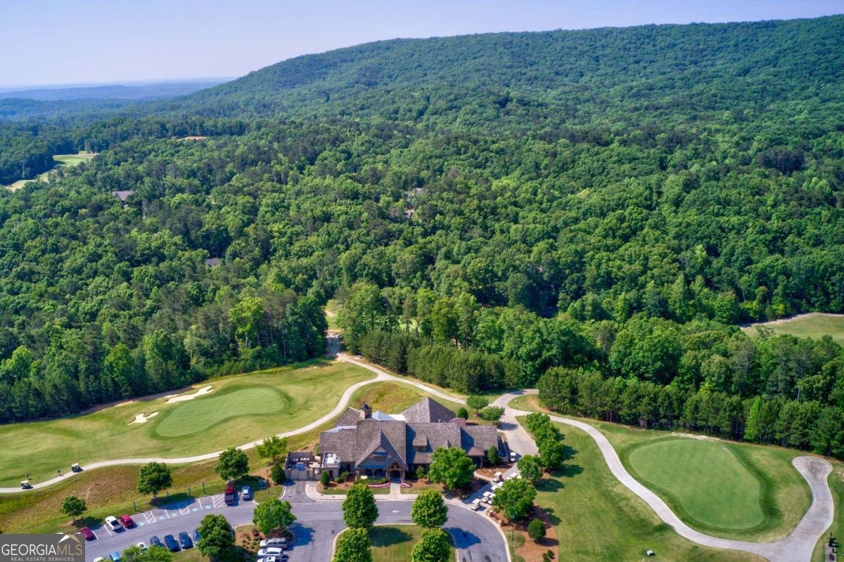 29 Mountain View Court Waleska - Photo 37