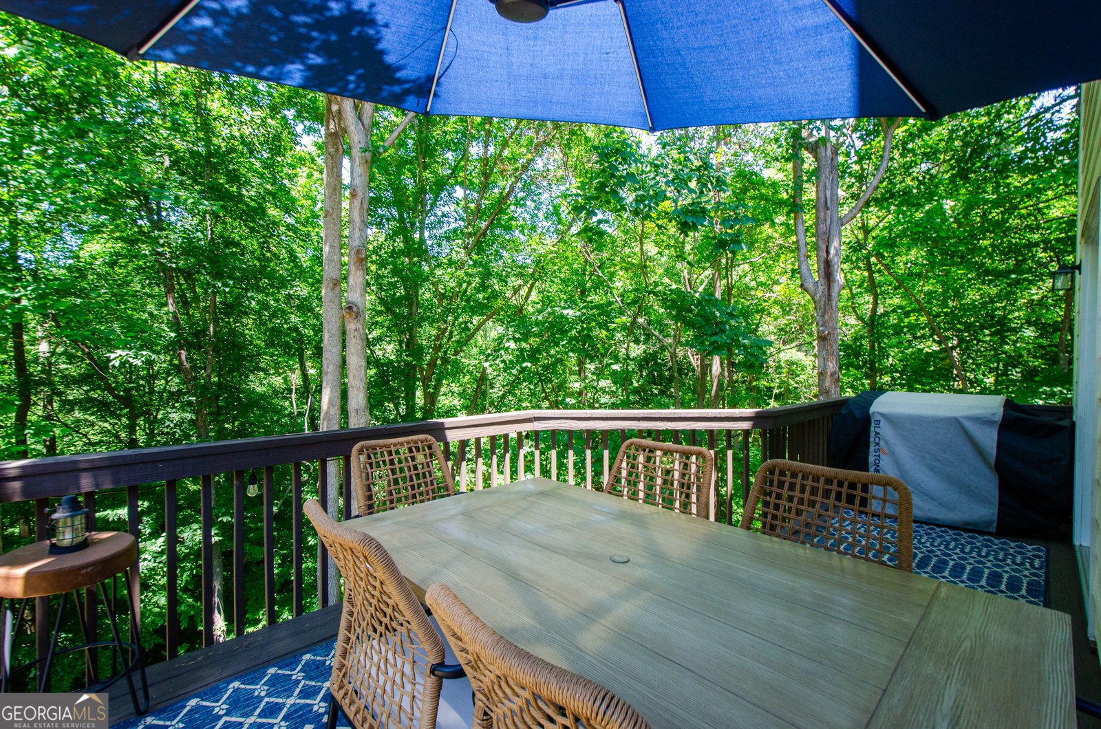 150 Mountain Vista Boulevard Canton - Photo 33